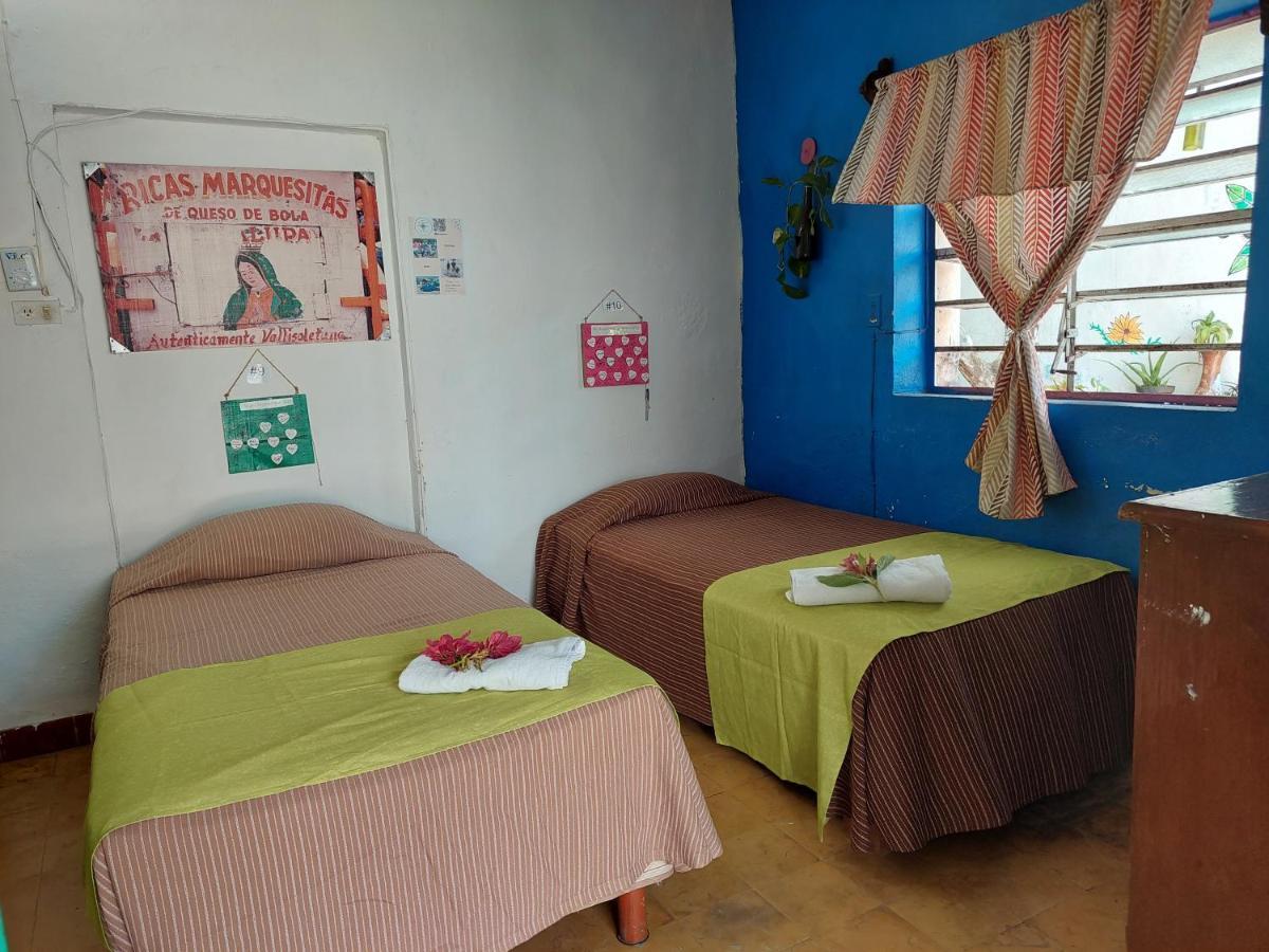 Hostel 35 วัลลาโดลิด ภายนอก รูปภาพ