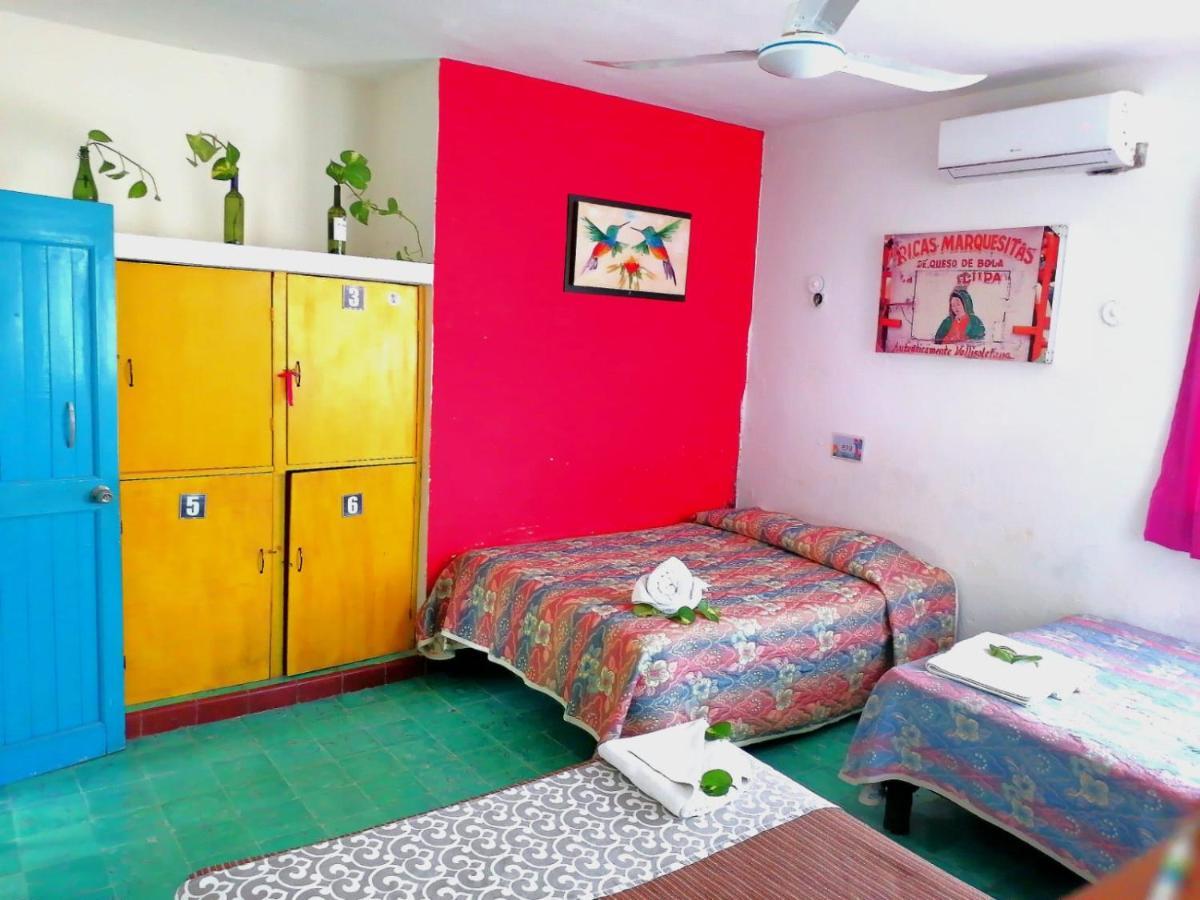 Hostel 35 วัลลาโดลิด ภายนอก รูปภาพ