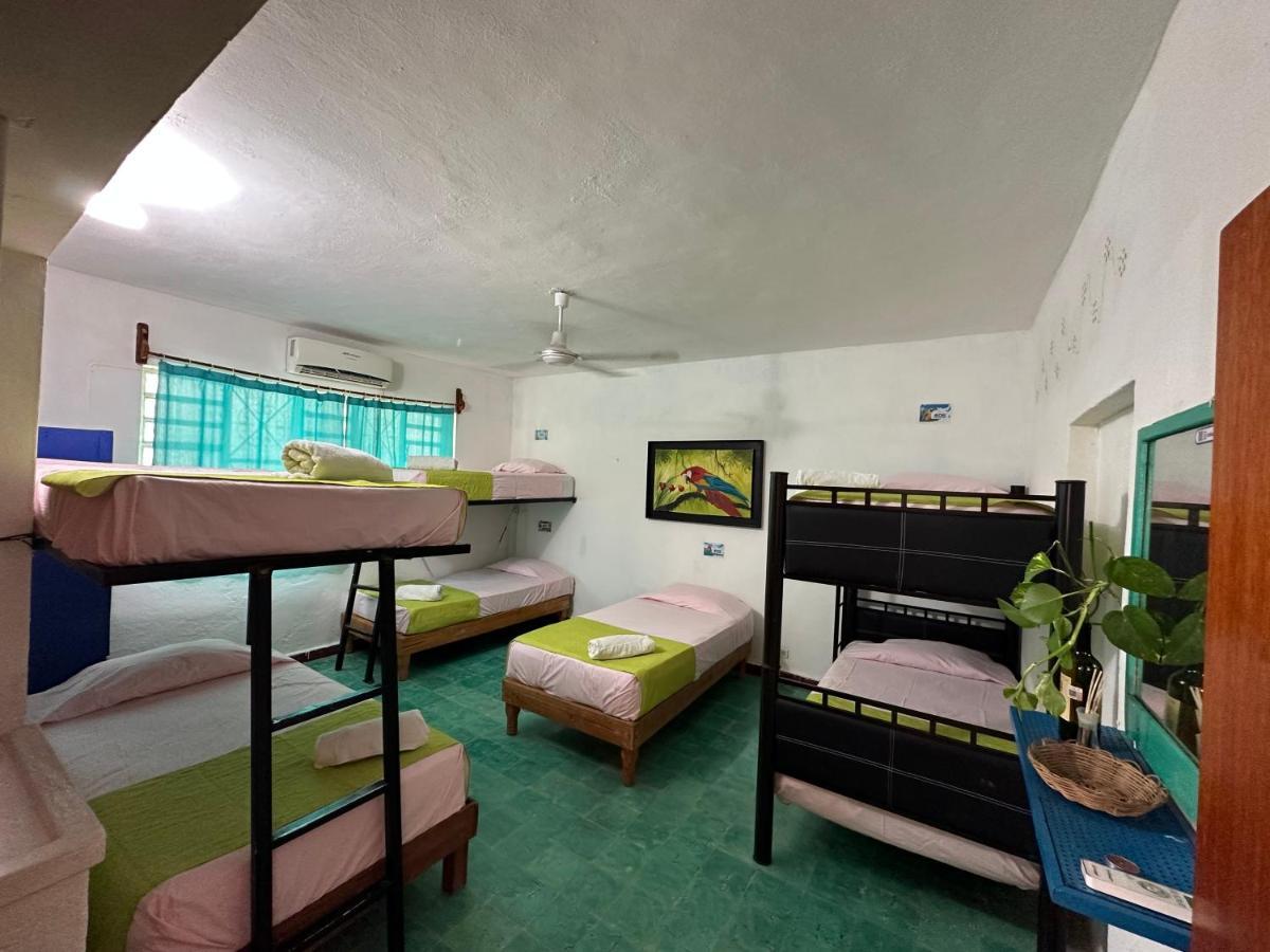 Hostel 35 วัลลาโดลิด ภายนอก รูปภาพ