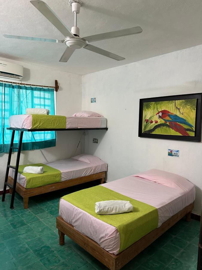 Hostel 35 วัลลาโดลิด ภายนอก รูปภาพ